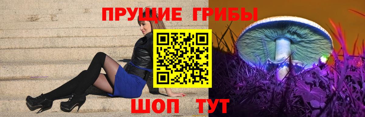 цены наркотик  Галлюциногенные грибы GOLDEN TEACHER  Вход с VPN  Кинель 