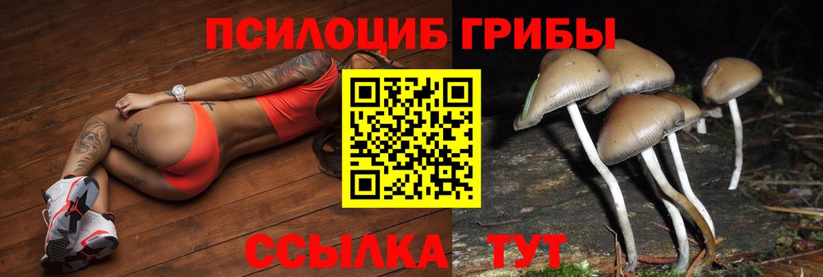 Псилоцибиновые грибы Psilocybine cubensis Кинель